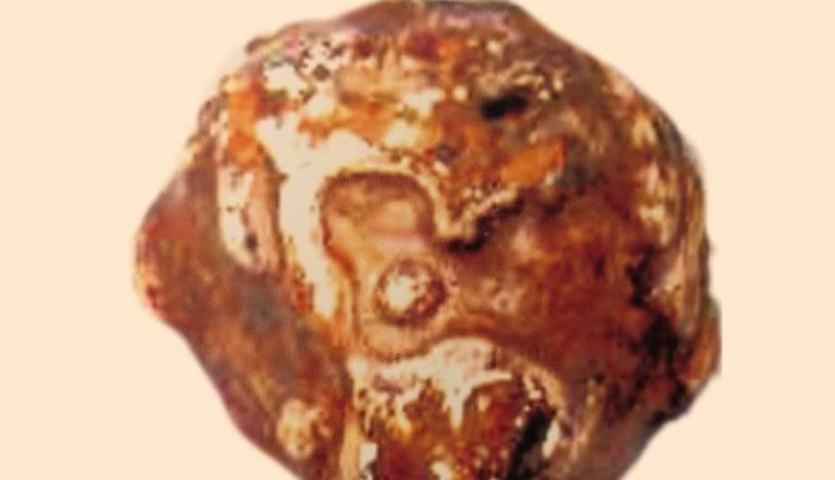 兵庫県のオーパーツ「聖徳太子の地球儀」は本当に聖徳太子によって作られたのか 占い007